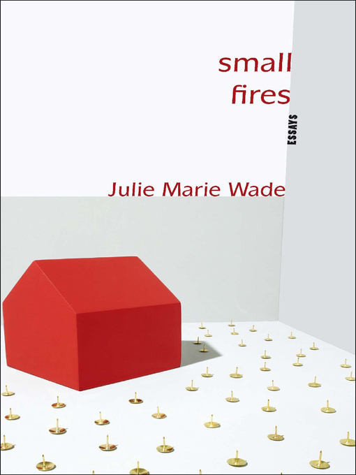 Cover image for Small Fires